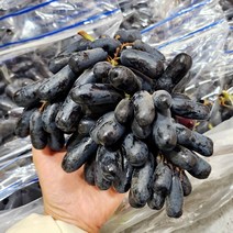 씨없는 블랙사파이어 가지포도 수입 핑거 마녀 포도, 2kg (2-3봉지)