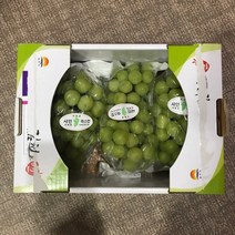 한가위 추석 달콤한 김천 샤인머스켓2k 선물세트, 1박스, 샤인머스켓 2kg(5수)