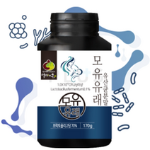 모유유래 유산균 분말 가루 모유유산균 락토바실러스 가세리 루테리 퍼멘텀 스페인특허 1000억 유산균 원료사용 프리미엄 생유산균 함유, 170g x 2통