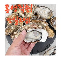 [통영직송] 싱싱하고 맛있는 바다의맛 석화굴, 4kg