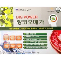 빅파워 징코오메가 60캡슐x2(4개월) / 은행잎추출물 오메가3 나토 센텔라아시아티카 기억력 혈행