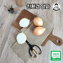 당일작업! 친환경 무농약 피양파 1kg 3kg 5kg, 500g, 1개