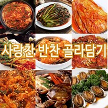 사랑찬 수제반찬74가지 골라담기, 48_깻잎장아찌250g