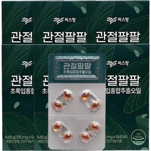 씨스팡 관절팔팔 56캡슐 X 6