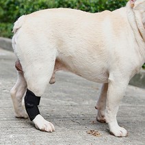 다리 애견 말티즈 무릎 강아지 슬개골 발목 깁스 수술 보호대 탈골 탈구 포메라니안 1P, 1애견슬개골보호대-S, 본상품선택