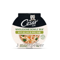 시저 성견용 홀썸볼 닭 당근 보리 콩 습식사료, 6종 함유(닭+당근+보리+콩+비타민+미네랄), 85g, 40개