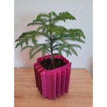 실내용 핑크 트리웰화분 2.5리터 (12cm*12cm*17cm) 에어터널효과, 와인핑크, 1개