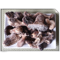 건강한 먹거리 자연산 냉동능이버섯B급1KG