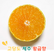 [프리미엄] 고당도 제주 서귀포 황금향 2.5KG / 4.5KG, 중과 2.5Kg 15-20과