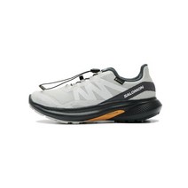 [국내 매장판] SALOMON 하이펄스 GTX W - 루나 락에보니화이트 / L41596400 HYPULSE LUNAR ROCK/EBONY/WHITE 297362