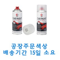아우디 LS9R 글래시어화이트 카 페인트 스프레이 도색 차량 도장 스크래치 기스 락카 라카, 1개