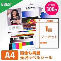 BBEST 라벨 씰 노 컷 광택지 라벨 씰 A4 300장들이 잉크젯 프린터용 끊김 없음 업무용 라벨