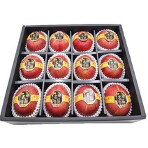 맛있는 프리미엄 사과 5kg 중대과