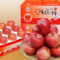 대흥농원 밀양얼음골사과 GAP인증 산지직송, 1박스, 5kg 15과