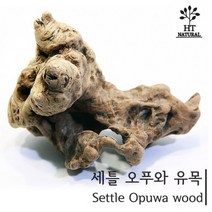 세틀 프리미엄 오푸와 천연 유목 [14~20cm]