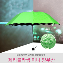 우산/양산/3단우산/UV차단/자외선차단/체리블라썸/비를 맞으면 벚꽃무늬가 나타나는 사쿠라우산 거꾸로우산