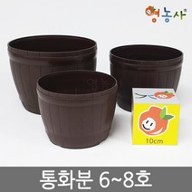 통화분 인테리어 플분 홈가드닝, 통화분 7호