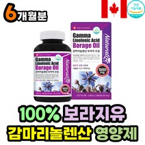 감마리놀렌산 보라지 꽃 종자유 오일 GLA 건강 영양제 대용량 오메가6 HDL LDL 콜레스테롤 개선 면역과민반은 피부 월경 생리 불편 개선 도움 여성 여자 선물 추천