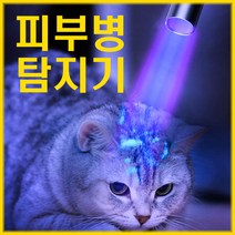 고양이 개 피부병 탐지기 백선 곰팡이균 진균 검사기, 고양이 백선 탐지기