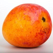 애플망고1KG 애플망고보관법 열대과일 [특등급] 애플망고가격 애플망고 생애플망고, 1KG