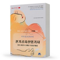 아우름 전기공사산업기사 필기 과년도 8개년 기출문제집 스프링제본 3권 (교환&반품불가), 모아팩토리