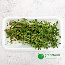 타임 1팩(약10g), 1개