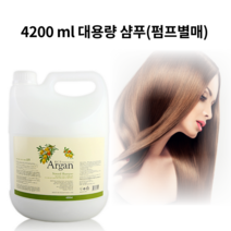아르간 대용량 샴푸 리필 대형샴푸 4200ml 미용실 숙박업소 대용량 샴푸 바디워시 린스 컨디셔너 (펌프별매), 선택없음