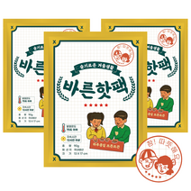 바른핫팩 포켓용 핫팩 90g 국내생산, 30매
