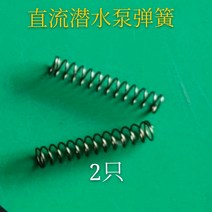 수중 직류 48V60V 엎드리다 부품 배터리 차 선박용 회전자 펌프헤드 패드 전선 탄소브러시 베어링 2416448248, 스프링 2개