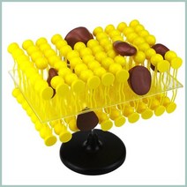 유동 모자이크 생체막 세포모형 신체구조 어린이교구 홈스쿨링