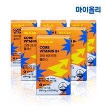 고농축 고함량 비타민B 컴플렉스 12개월 종합 멀티 수용성 활력, 코어 비타민B 플러스 6개