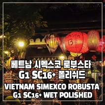 (커피생두) 306 베트남 시멕스코 로부스타 G1 SC16+ 폴리쉬드 500g