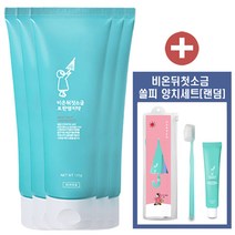 비온뒤첫소금 토판염치약 민트, 5개, 120g