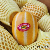 [머드러기] 산지직송 당일발송 2023 선물용 고당도 성주 꿀 참외 1.5kg 3kg 5kg 10kg, 선물용 고당도 참외, 중과(개별 망 포장), 1.5kg(4~5과)