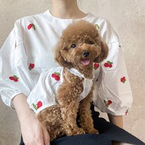 루페루페 강아지 레이스 나시티 개플룩 시밀러룩 견주 커플 옷 S-2XL, 앵두(보호자)