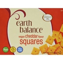 얼스 밸런스 체다 스퀘어 크래커 Earth Balance Cheddar Squares 170g 2팩, 1개