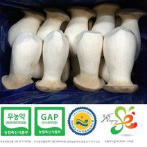 새송이는마니꺼 새송이버섯, 1kg 특, 1개