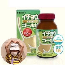 은행잎추출물 징코 2개월분