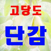 고당도 꿀 단감 10kg 대용량, 1박스, 10kg(중)55과내외
