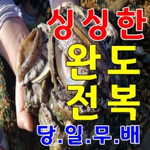 완도전복 할인행사 1kg -3kg 7미-20미 완도 활전복 대 특대 산지직송 전복선물추천 당일배송, 15미(대전복), 1kg(개당70g)