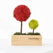 스칸디아모스 천연이끼 투게더 모스 트리, 02_레드