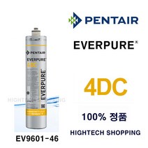 4DC 필터 에버퓨어 순정 EV9601-46 PENTAIR, 1개