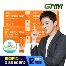 [1박스당 3개월분] GNM 메가 비타민C 3000 90포 / 비타민씨 분말 가루, 360포