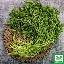 GAP 지리산 청학골 미나리 1kg (지하수 1차세척), 1개