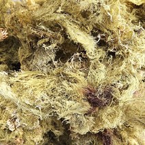 우뭇가사리 200g 한천원료 묵 우무 식이섬유소가 풍부해요 쪽빛누리, 본품