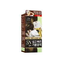 AP 미쟝센 쉽고빠른 거품 염색약 5N 갈색/새치커버