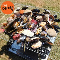 더대박 조개구이 모듬세트 해물탕 해물찜, 1box, 조개세트(실속) 2kg