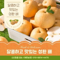(해든농원) 배 선물세트 7.5kg / 가정용 못난이 배 15kg / 달고 시원한 성환 신고 배, 7.5kg 선물용 고급 11과 x 1box