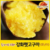 2022년 강화속노랑고구마 강화도호박고구마 햇고구마 [중간크기] 5kg 10kg 선택., 1박스, 선택11. 못난이 10kg