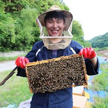 천연 벌꿀 아카시아꿀 야생화꿀 (잡화꿀) 밤꿀 꽃따라꿀따라, 1kg, 1개, 1kg 100개입 (스틱형)